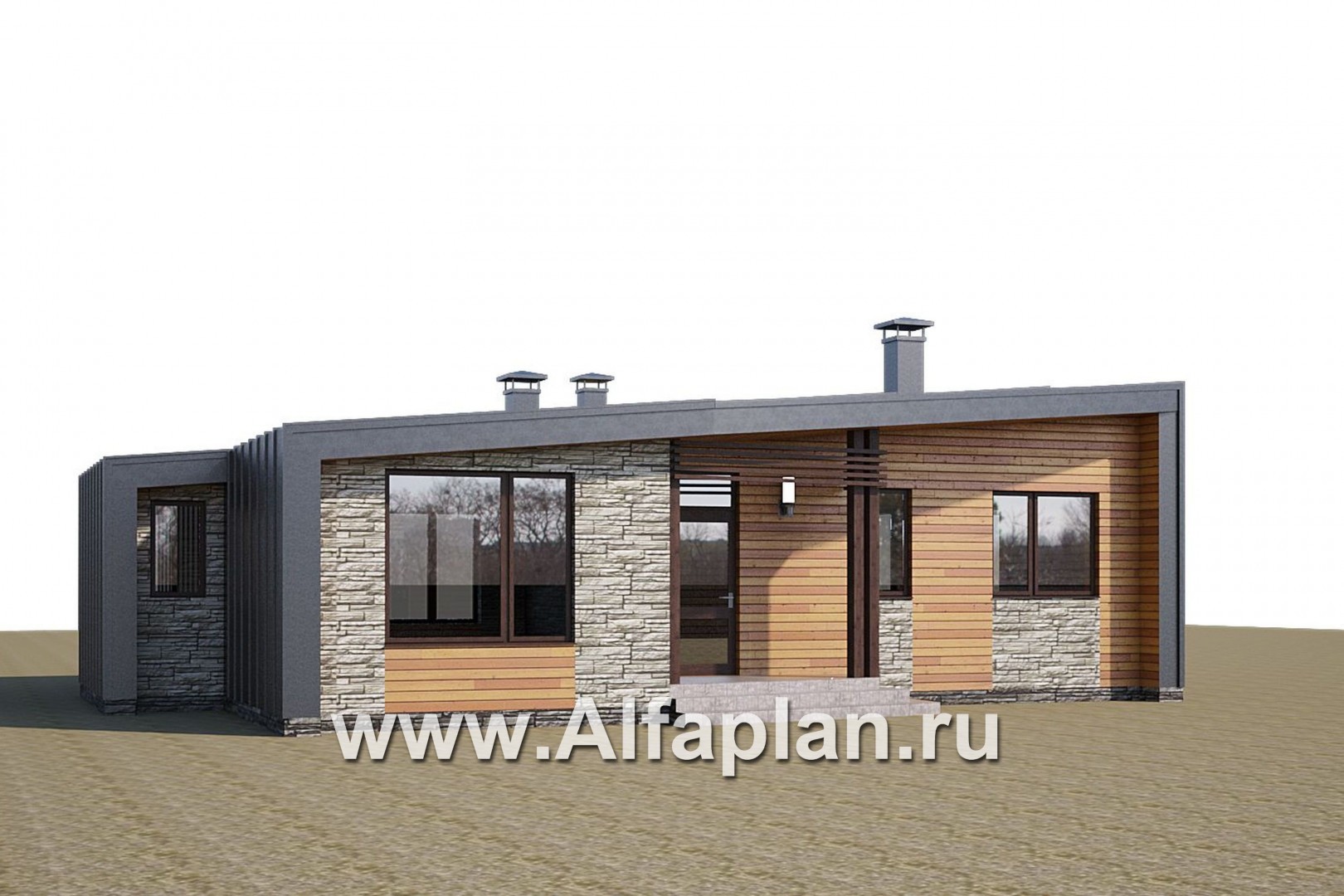 Проекты домов Альфаплан - «Дельта» - современный одноэтажный коттедж с фальцевыми фасадами - дополнительное изображение №1