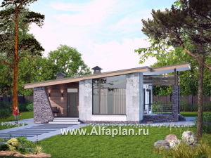 Проекты домов Альфаплан - «Корица» - одноэтажный дом с односкатной крышей, с двумя спальнями - превью основного изображения